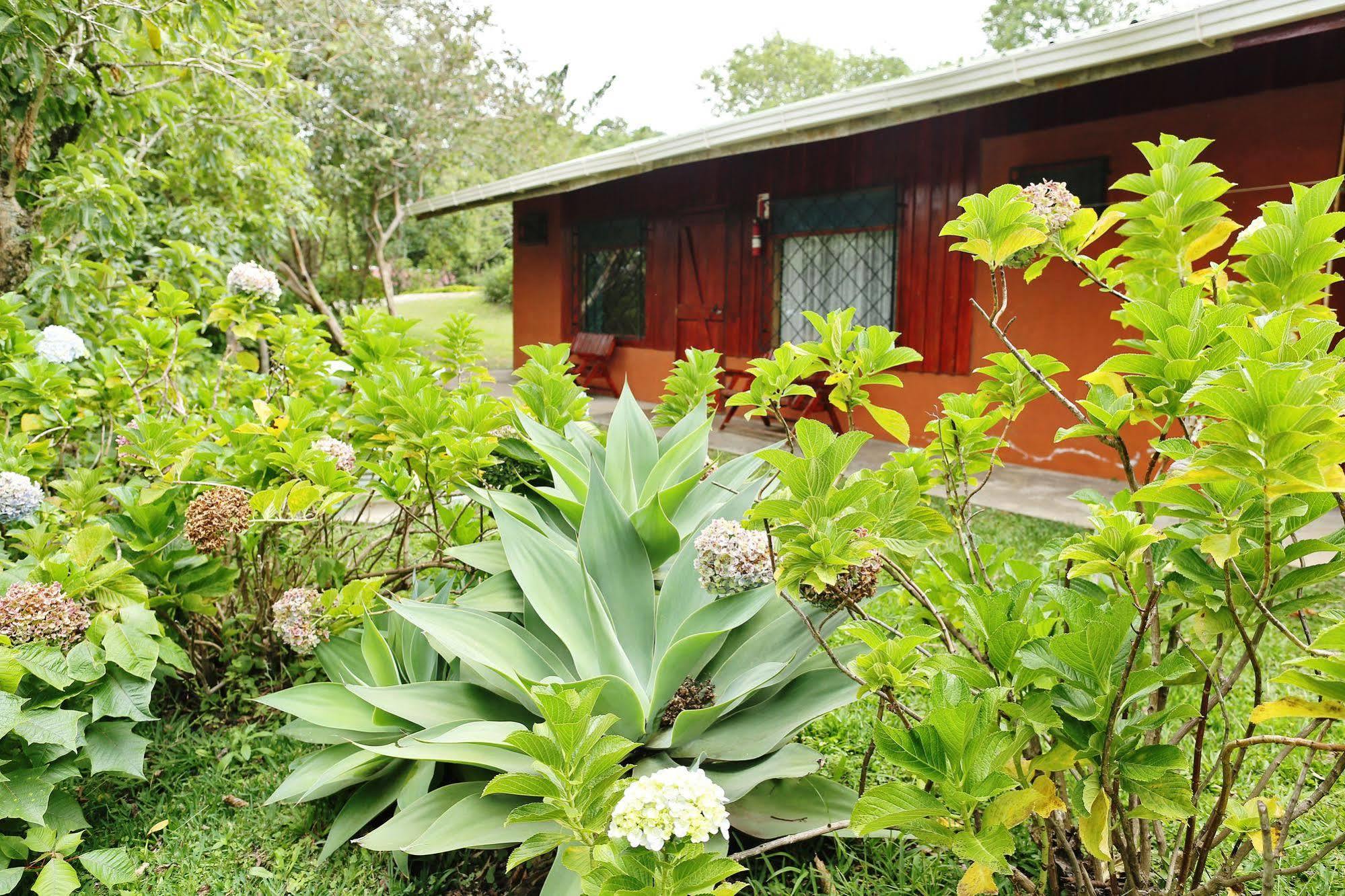 Cabanas La Pradera Monteverde Kültér fotó